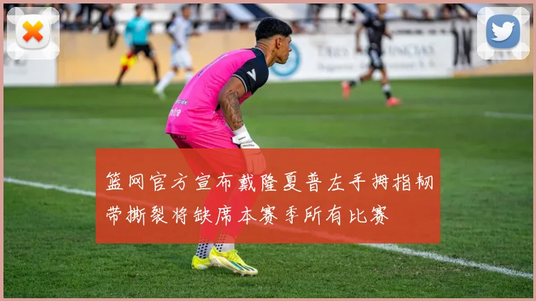 篮网官方宣布戴隆夏普左手拇指韧带撕裂将缺席本赛季所有比赛