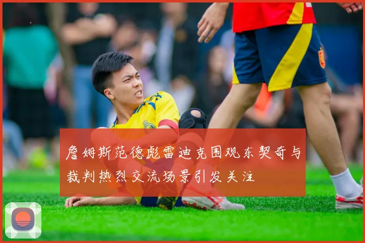 詹姆斯范德彪雷迪克围观东契奇与裁判热烈交流场景引发关注